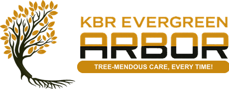 KBR Evergreen Arbor